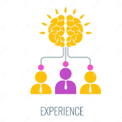 Our Experience